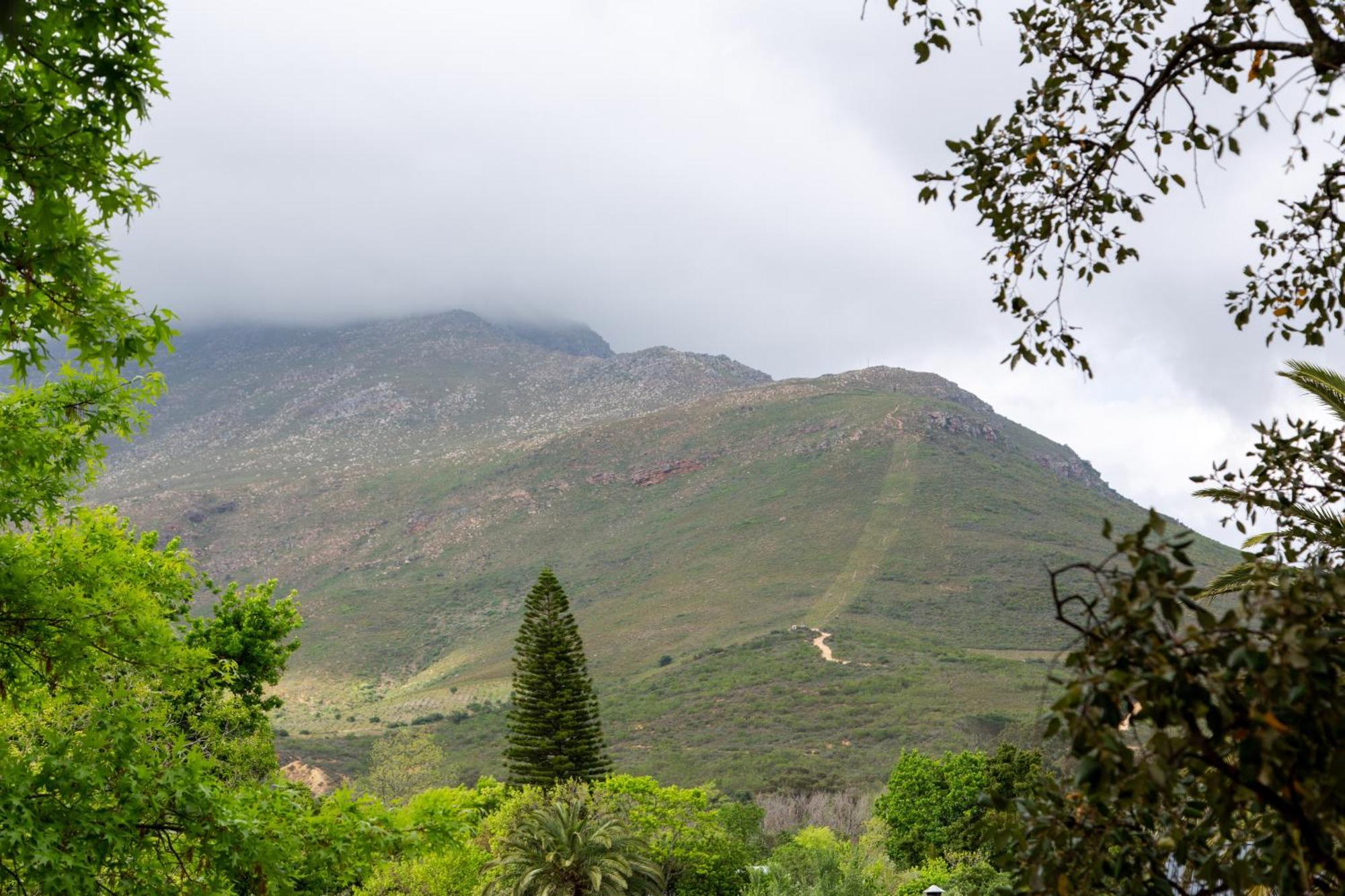 La Terre Blanche Stylish * Stellenbosch